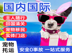 西安机场邮寄国际宠物托运 【国